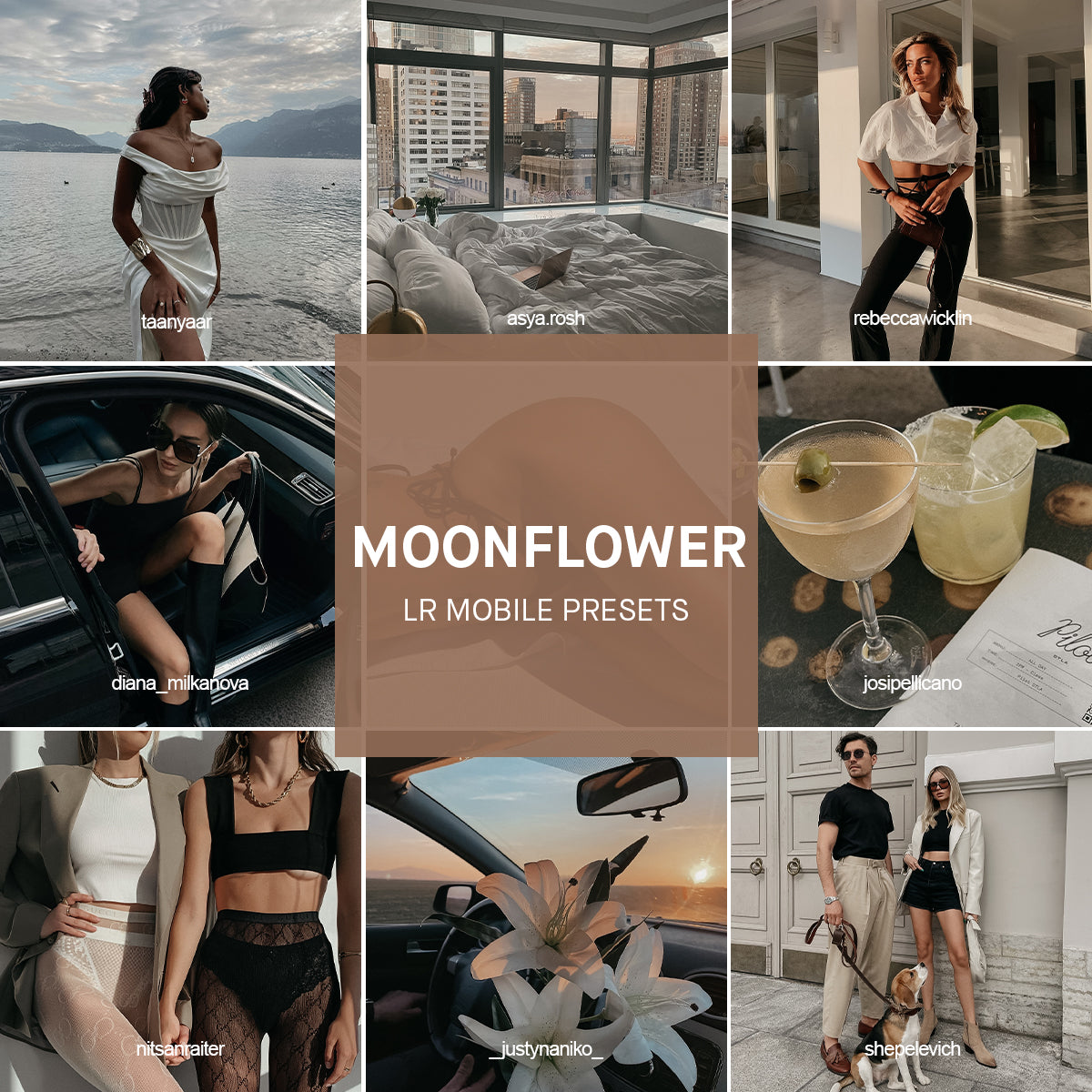 Moonflower Lightroom Presets