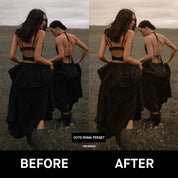 Voyage Lightroom Presets