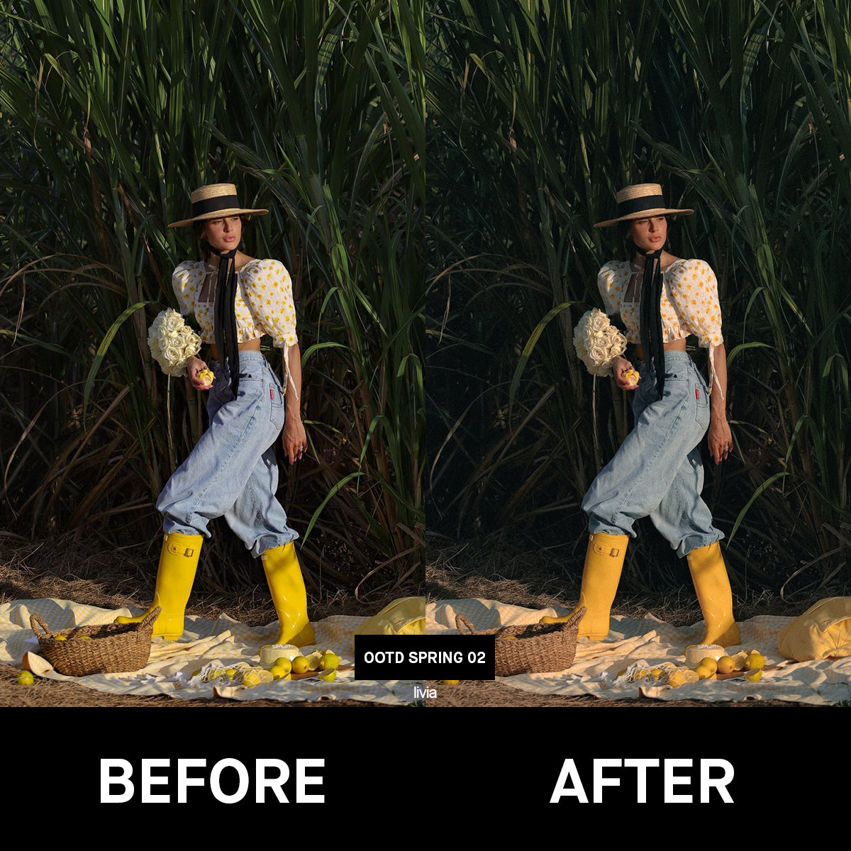 Spring Lightroom Presets